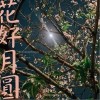 周迅 花好月圆 试听