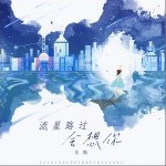 流星路过会想你（单曲）详情