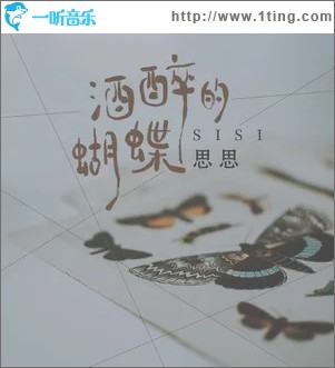 酒醉的蝴蝶（单曲）