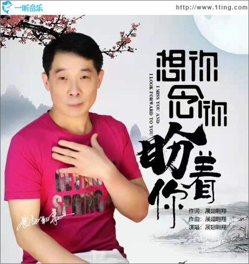 想你念你盼着你（EP）