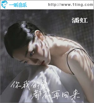 你我的爱都不再回来（单曲）