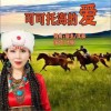 叶梅 可可托海的爱（伴奏） 试听