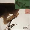 未曾许诺的花园（单曲）