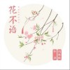 花不语（单曲）