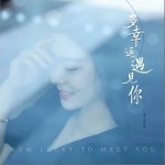 多幸运遇见你（单曲）详情