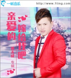 亲爱的嫁给我吧（单曲）