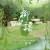 伦桑 柳絮谣 试听