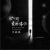 王贰浪 如何爱他像你 试听