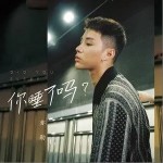 你睡了吗（单曲）详情