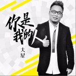 你是我的人（单曲）详情