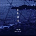 是我的错（单曲）详情