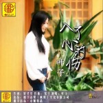 入了心的伤（DJ版）（单曲）详情
