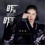 昨夜星辰昨夜你（单曲）