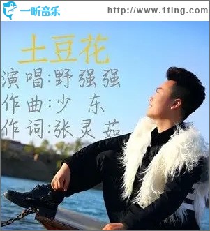 土豆花（单曲）