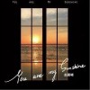 You are my sunshine（单曲）
