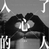 入了心的人（单曲）