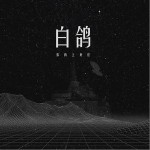 白鸽（单曲）详情