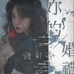 你的婚礼（单曲）详情