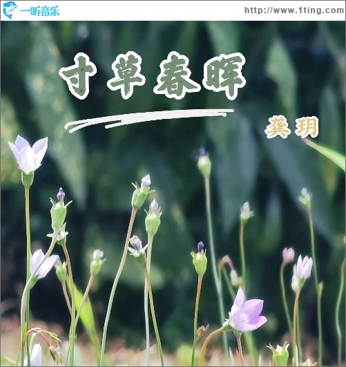 寸草春晖（单曲）
