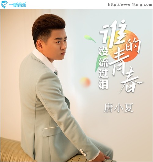 谁的青春没流过泪（单曲）