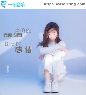 廉价的眼泪珍贵的感情（单曲）