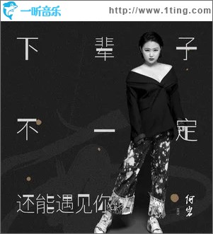 下辈子不一定还能遇见你（单曲）