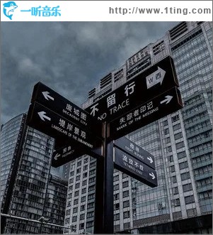 夜寻（单曲）