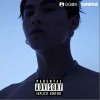 ICE 随便玩玩 试听