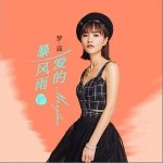 爱的暴风雨（单曲）详情
