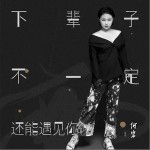 下辈子不一定还能遇见你（单曲）详情