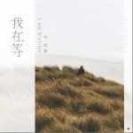 我在等（单曲）详情
