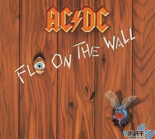 Fly on the wall