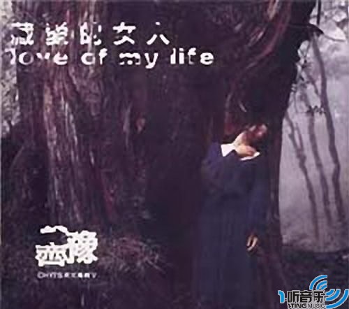 藏爱的女人