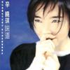 辛晓琪 走过 试听