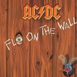 Fly on the wall
