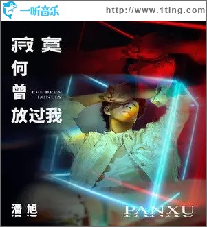 寂寞何曾放过我（单曲）