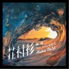 杨坤 花衬衫-杨坤 /VaVa毛衍七 试听