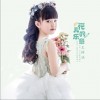 花儿的乐章（单曲）