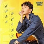 你看这是我的女朋友（单曲）详情
