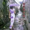 叶梅 雨中的小巷 试听