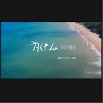 为什么不回我微信（单曲）详情