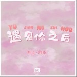 遇见你之后（单曲）详情