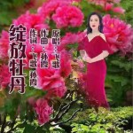 绽放牡丹（单曲）详情