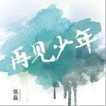 再见少年（单曲）