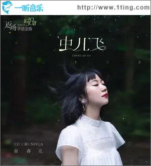 虫儿飞（单曲）