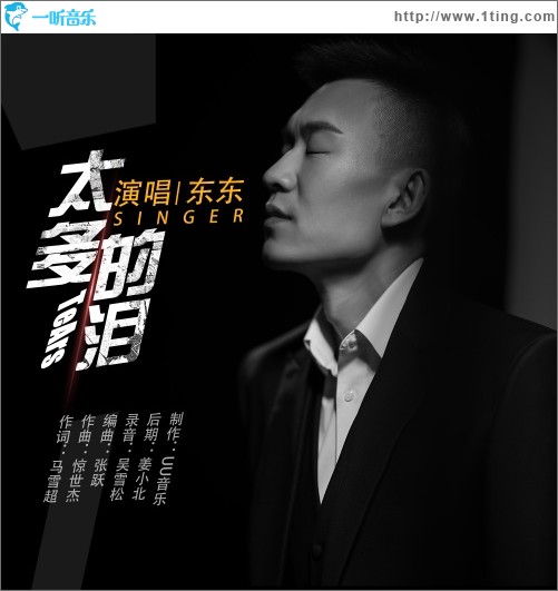 太多的泪（单曲）