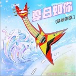 夏日如你（单曲）详情