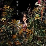 藏（单曲）详情