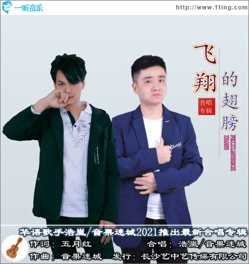 飞翔的翅膀（单曲）