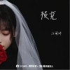 预览（单曲）